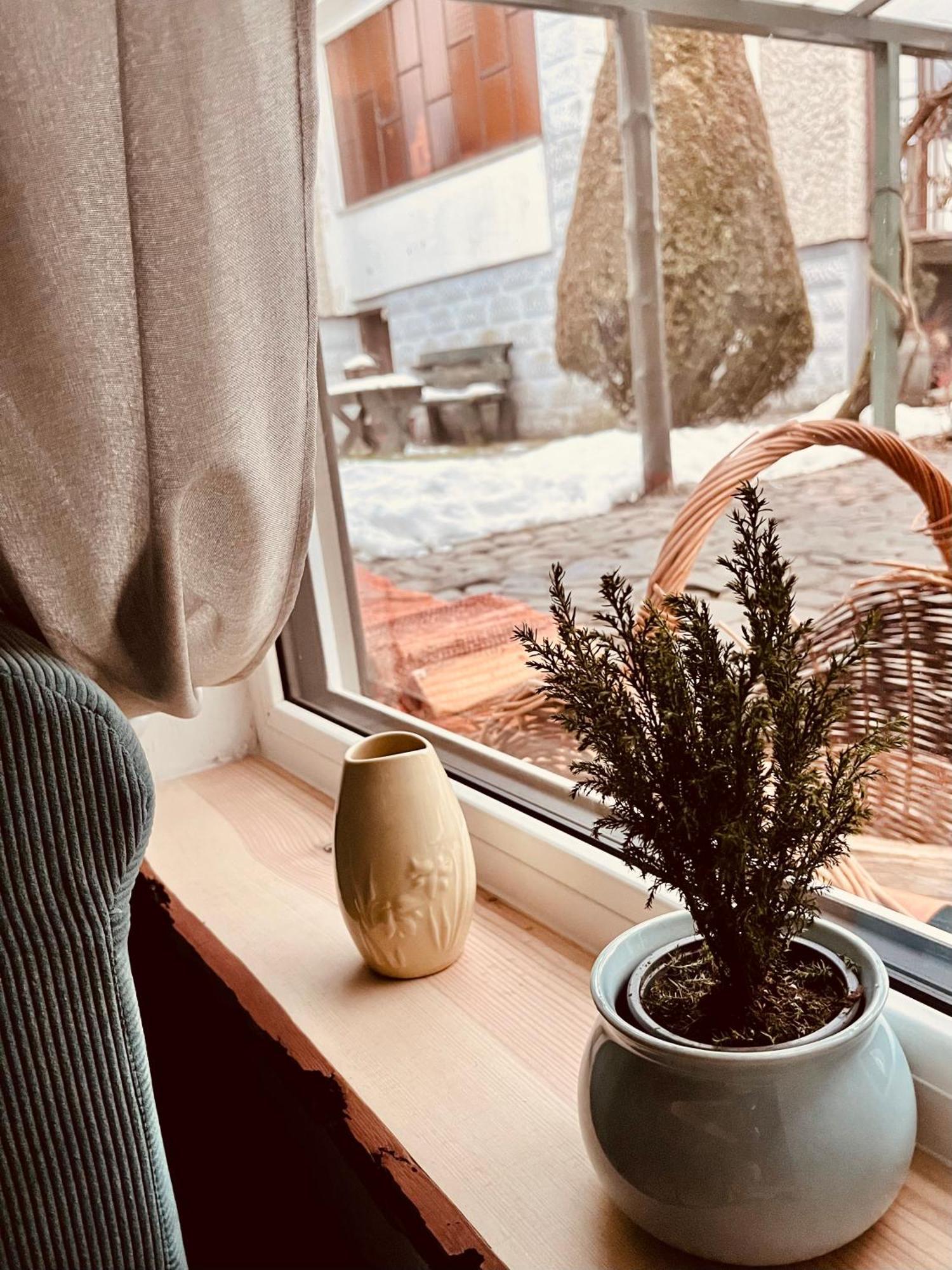 Homestay Kwatera Na Sliwkowej Zabrzez